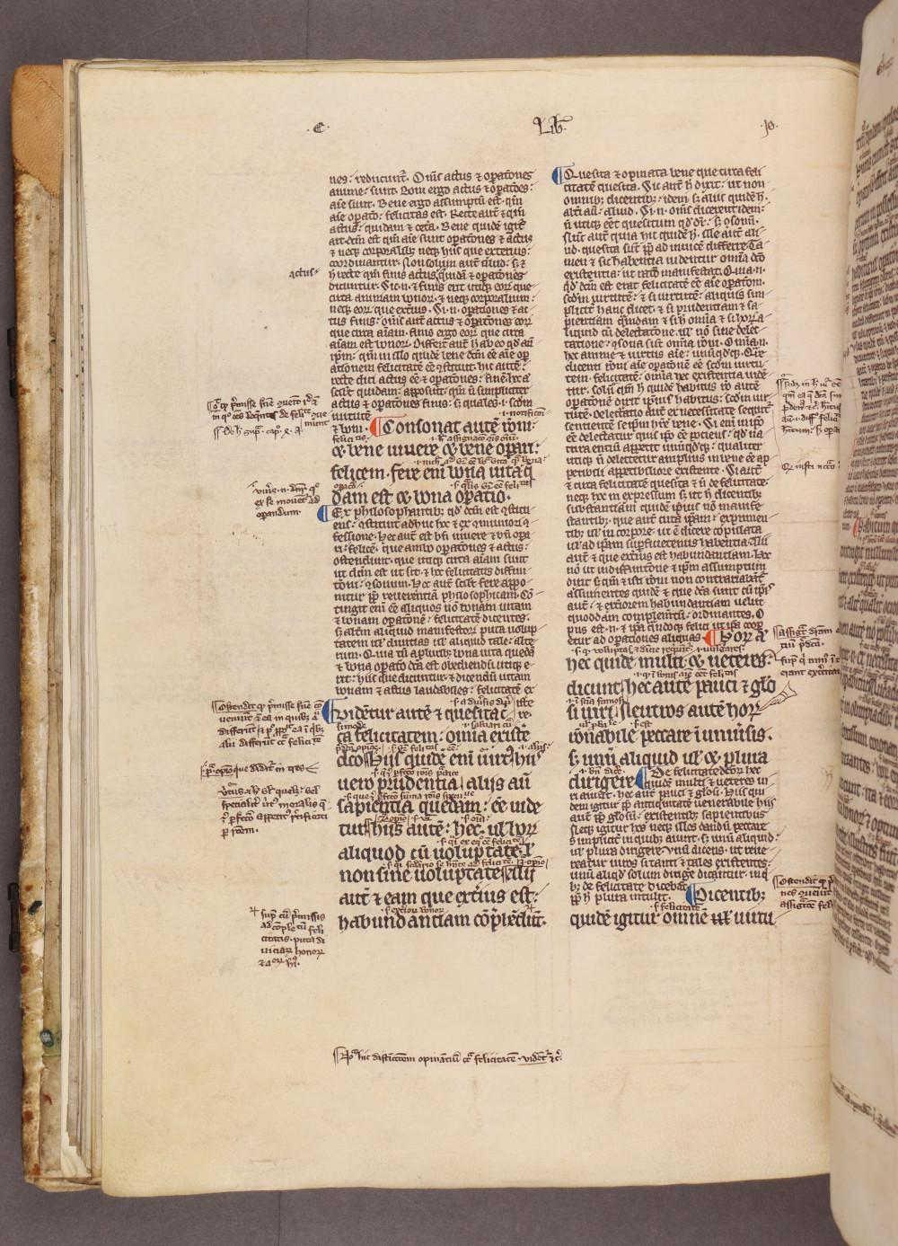 Folio 31 verso